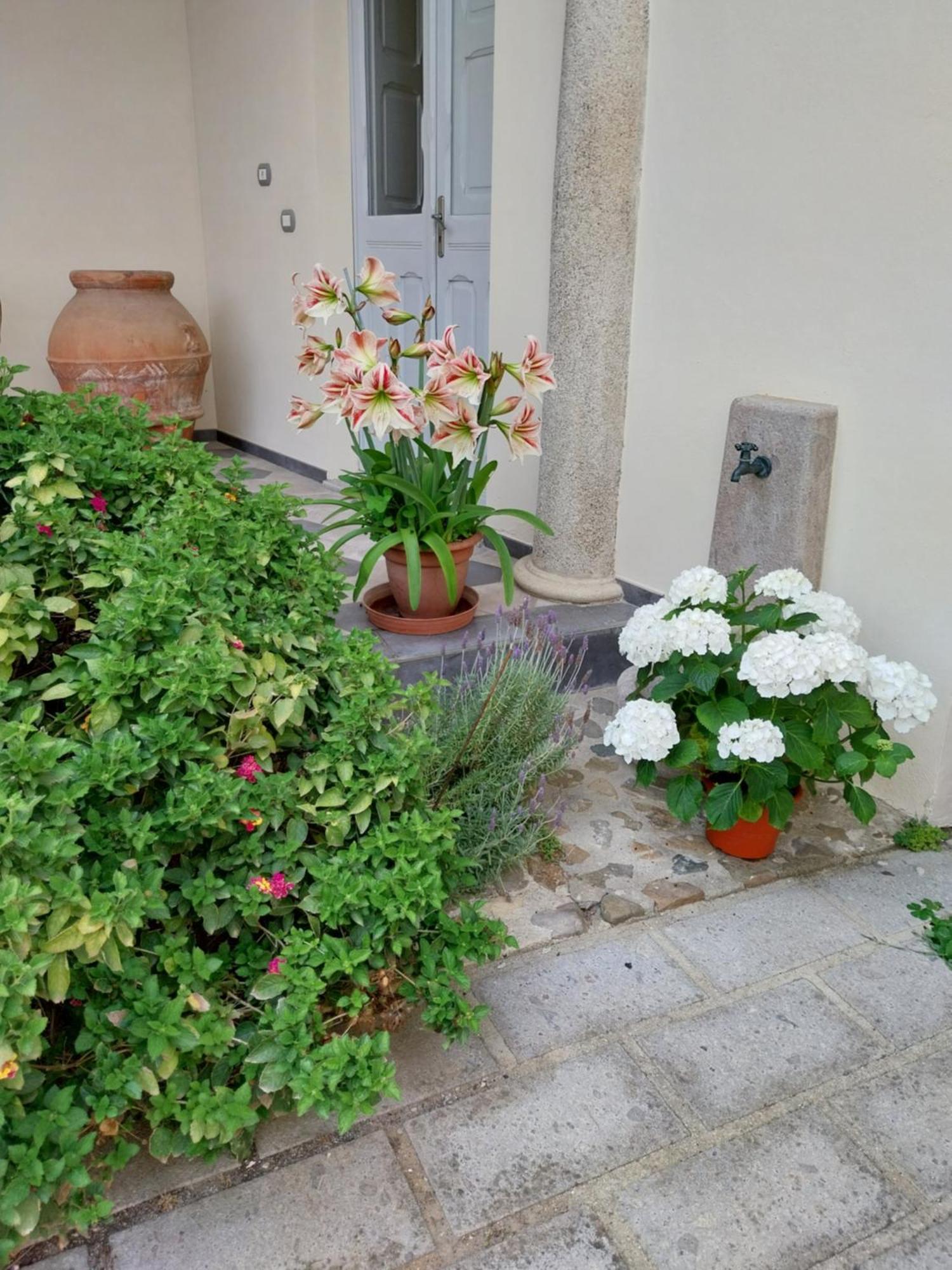 Villa Mostallino Assemini Esterno foto